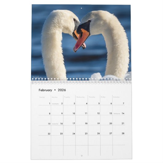 Wendy’ Wish 2026 18 Month, Medium Calendar カレンダー (2月 2026)