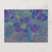 Wenn der Krokus blüht ポストカード (正面)