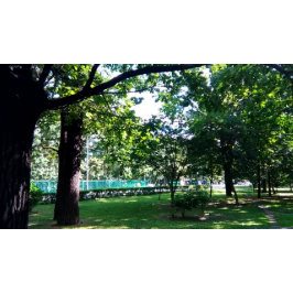 wer dsf招待状 招待状