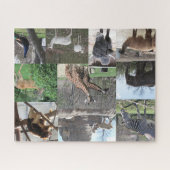 We're Going to the Zoo ジグソーパズル (横)