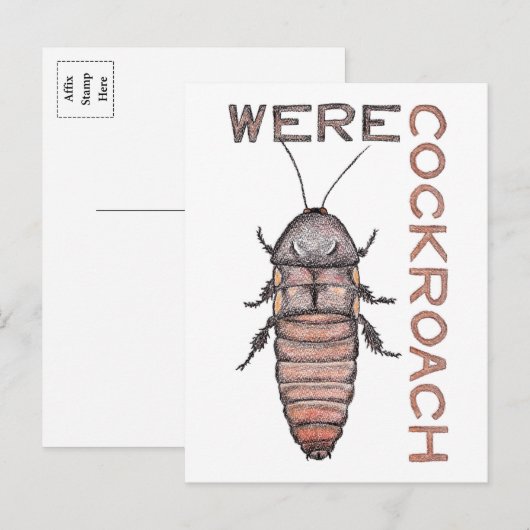 Werecockroachはがき ポストカード (正面/裏面)