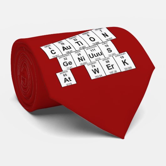 WErKのタイの注意GeNiUuuS ネクタイ (ロール)