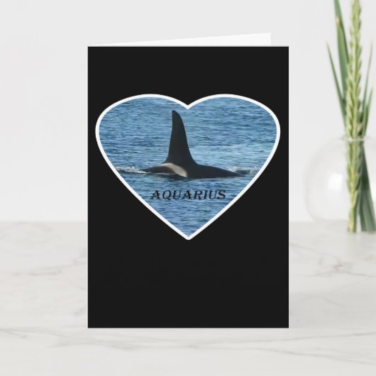 West Coast Killer Whale Aquarius Customisable カード (正面)