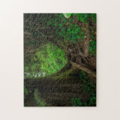 West Coast Rainforest | San Juan Fuca Trail ジグソーパズル (縦)