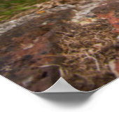 West Highland Terrier Puppy ポスター (角)