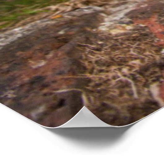 West Highland Terrier Puppy ポスター (角)