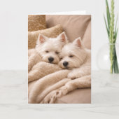 West Highland Terrier Valentine Card – Cozy Westie カード (正面)