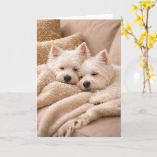 West Highland Terrier Valentine Card – Cozy Westie カード (黄色い花)