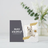 West Highland White Terrier ポストカード (スタンド正面)