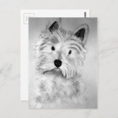 West Highland White Terrier Postcard ポストカード (正面/裏面)