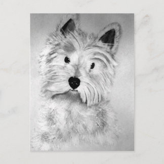 West Highland White Terrier Postcard ポストカード