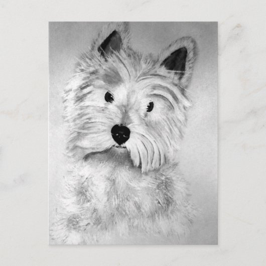 West Highland White Terrier Postcard ポストカード (正面)