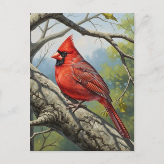 West Virginia State Bird Northern Cardinal ポストカード (正面)