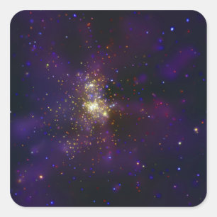 Westerlund 2の若い星団 スクエアシール