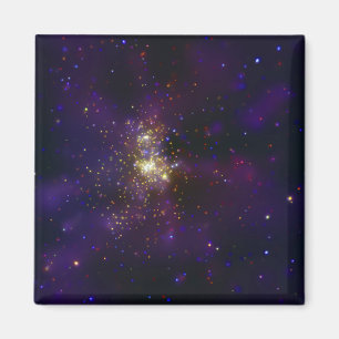 Westerlund 2の若い星団 マグネット