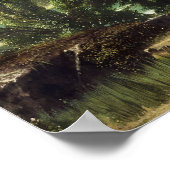 western europe ポスター (角)