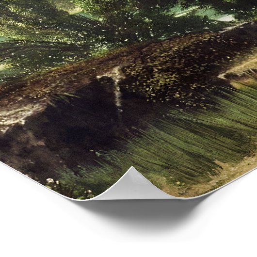 western europe ポスター (角)