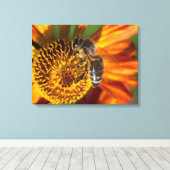 Western Honey Beeマクロフォト キャンバスプリント (インサイチュ (ウッドフロア))