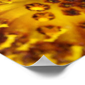 Western Honey Beeマクロフォト ポスター (角)