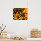 Western Honey Beeマクロフォト ポスター (キッチン)