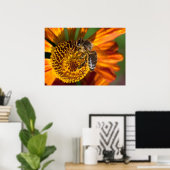 Western Honey Beeマクロフォト ポスター (ホームオフィス)