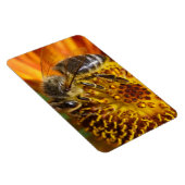 Western Honey Beeマクロフォト マグネット (右側)