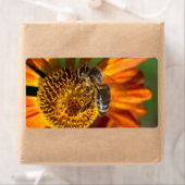 Western Honey Beeマクロフォト ラベル (インサイチュ)