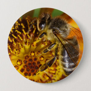 Western Honey Beeマクロフォト 缶バッジ