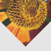 Western Honey Beeマクロフォト 薄葉紙 (詳細)