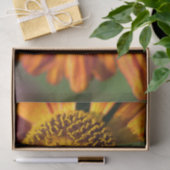 Western Honey Beeマクロフォト 薄葉紙 (ギフト)