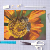 Western Honey Beeマクロフォト 薄葉紙 (クラフト)