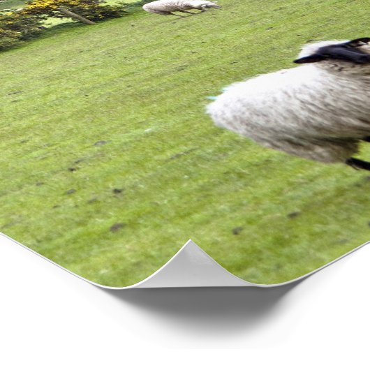 Western Ireland, Dingle Peninsula, broad ポスター (角)