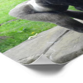 Western Lowland Gorilla #1ポスター ポスター (角)