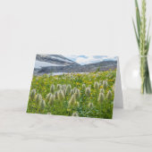 Western Pasqueflower | East Kootenay Mountains カード (正面)