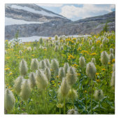 Western Pasqueflower | East Kootenay Mountains タイル (正面)