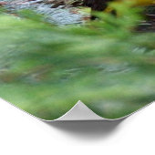 Western Tanager Print ポスター (角)