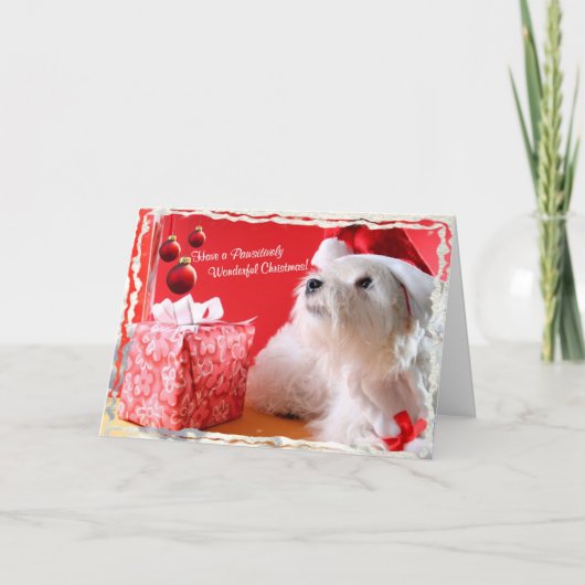 Westieのすばらしいクリスマスは4つを望みます-それをカスタマイズ シーズンカード (正面)