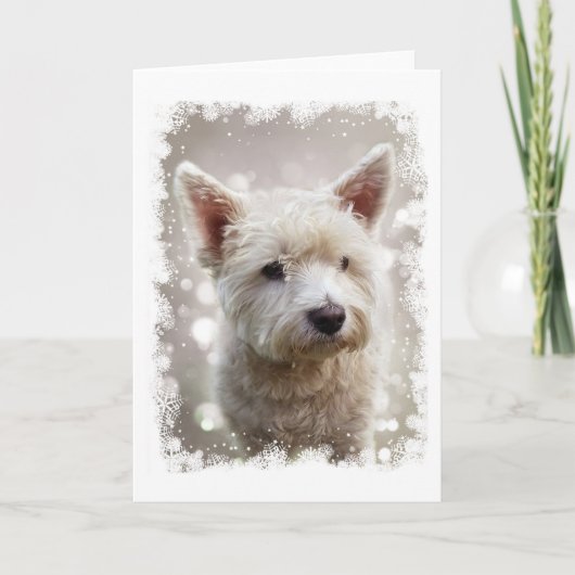 Westieのクリスマスカード シーズンカード (正面)