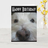 Westieのクローズアップの鼻の写真の挨拶状 カード (黄色い花)