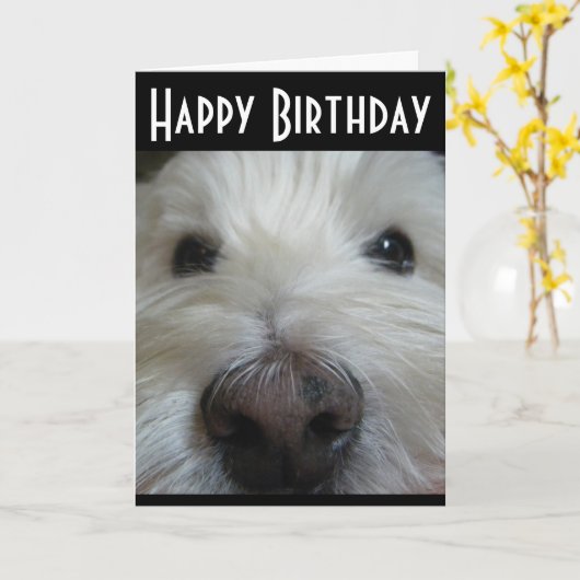 Westieのクローズアップの鼻の写真の挨拶状 カード (黄色い花)