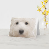 Westieのクローズアップ カード (黄色い花)