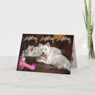 Westieのハッピーイースター2 シーズンカード