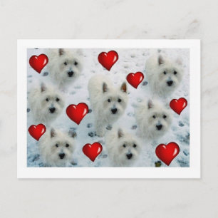 Westieのハートの郵便はがきありがとう、誕生日、こんにちはe ポストカード