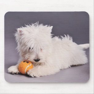 westieの子犬 マウスパッド