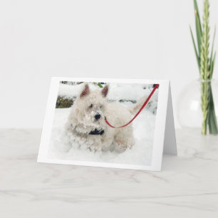 Westieの挨拶状の誕生日はありがとうw等を得ます サンキューカード
