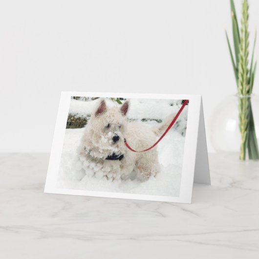 Westieの挨拶状の誕生日はありがとうw等を得ます サンキューカード (正面)