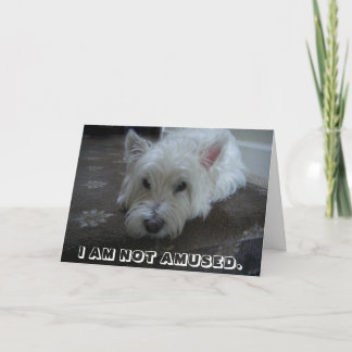 Westieの楽しませなかった写真の挨拶状 カード