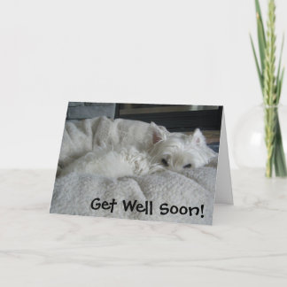 Westieは健康な写真の挨拶状をすぐに得ます カード