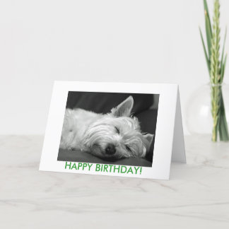 Westie犬のバースデー・カード カード