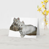 Westie Desiおよびルーシー カード (黄色い花)